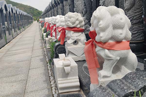 杭州凤凰山公墓，生命的永恒颂歌