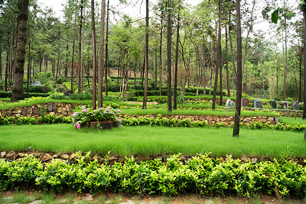 2026杭州墓园清明价格全攻略：生态到高端，帮你省钱又选对