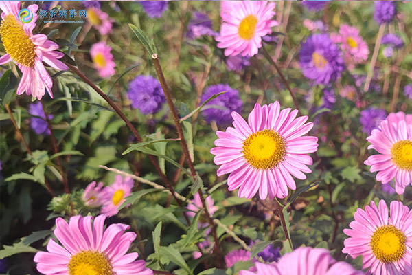 杭州墓地葬壁哪个位置吉利？解析墓地选址与方位的关键因素