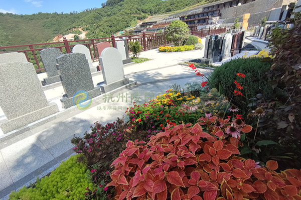 杭州陵园迁坟仪式中为何需要摆案上香与祭祖烧钱? 杭州陵园迁坟仪式中为何需要摆案上香与祭祖烧钱?