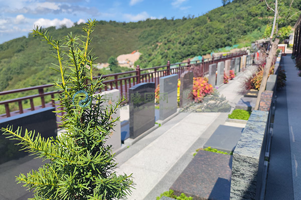 杭州陵园迁坟仪式中为何需要摆案上香与祭祖烧钱? 杭州陵园迁坟仪式中为何需要摆案上香与祭祖烧钱?