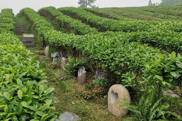 2026杭州墓园清明价格全攻略:生态到高端,帮你省钱又选对 2026杭州墓园清明价格全攻略:生态到高端,帮你省钱又选对